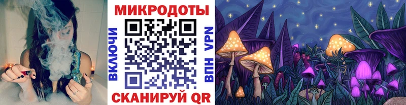 как найти   Спас-Деменск  Псилоцибиновые грибы мухоморы 