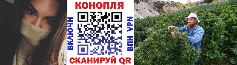МАРИХУАНА Amnesia  наркота  Спас-Деменск 
